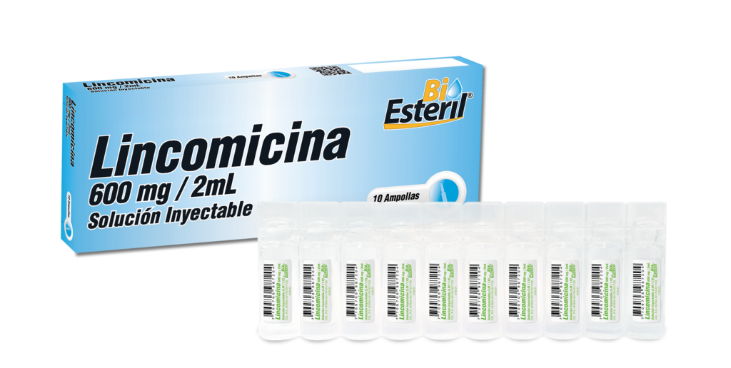 LINCOMICINA Amp